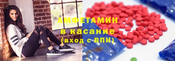 стаф Алзамай