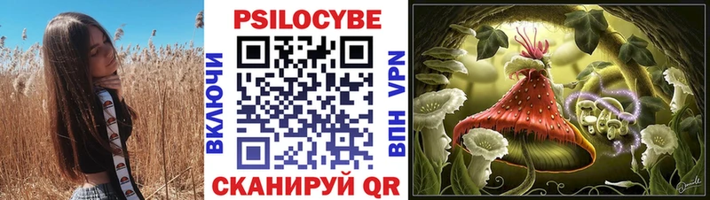 Псилоцибиновые грибы GOLDEN TEACHER  купить наркотики цена  kraken маркетплейс  Нальчик 