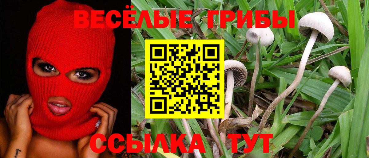 Нальчик  Псилоцибиновые грибы прущие грибы  где купить   Вход с VPN 