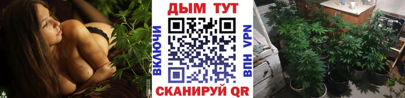Бошки марихуана SATIVA & INDICA  площадка официальный сайт  Нальчик 